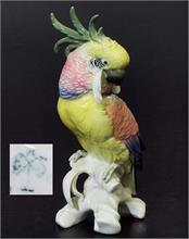 Papagei auf Ast sitzend, den Kopf seitlich gedreht.