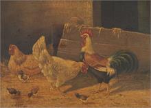 Federvieh im Stall,  stolzer Hahn mit zwei Hennen und Küken, 19. Jahrhundert.