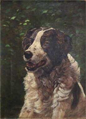 Hundeporträt. um 1900. 